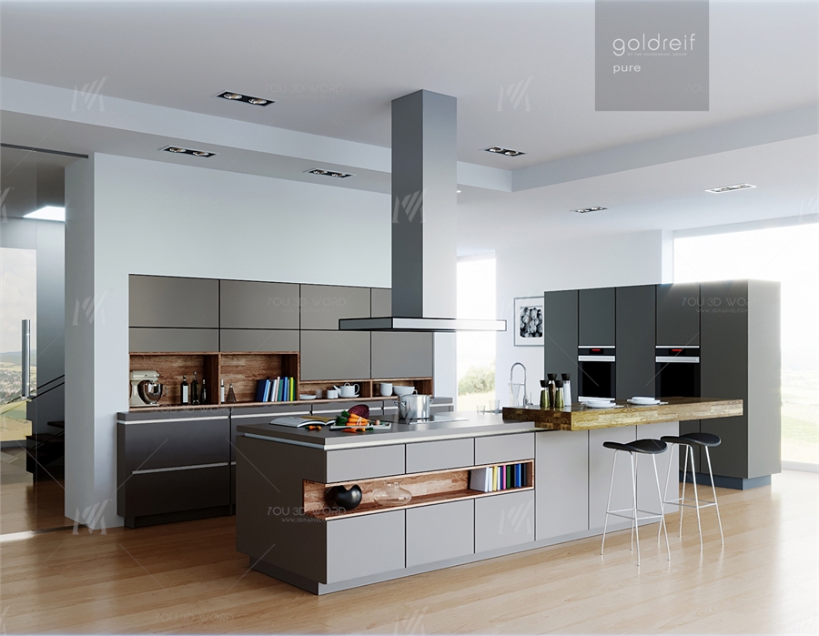 Goldreif by Poggenpohl Pure Kitchen 